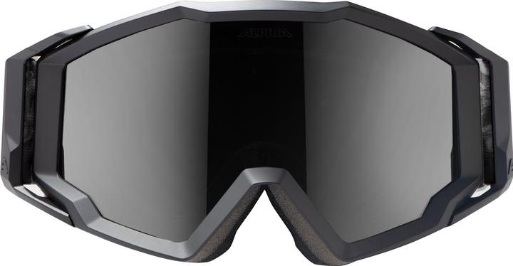 Produktbild Alpina Circus (Black, Clear)