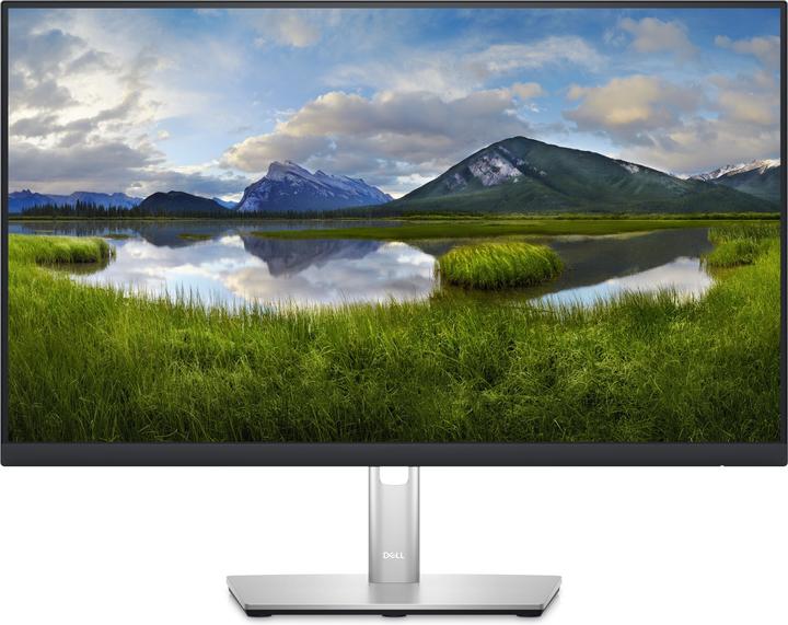 Dell P2423DE (2560 x 1440 Pixel, 23.80")