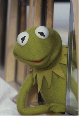 Actual product image Disney The Muppets Kermit postcard 02