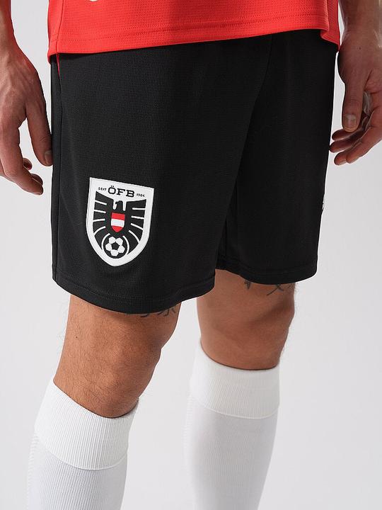 Immagine prodotto Puma ÖFB Shorts Replica (L)