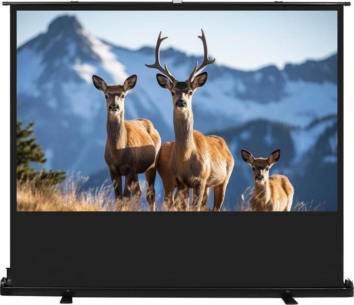 Immagine prodotto Maclean MC-213 (100", 16:10)