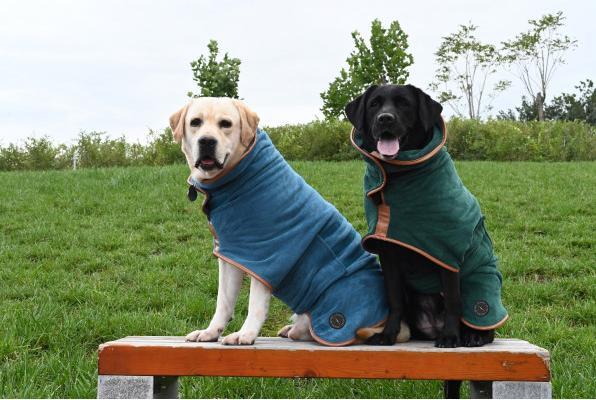 Image du produit Chiara Peignoir pour chien Nereus (S, Manteau pour chien)