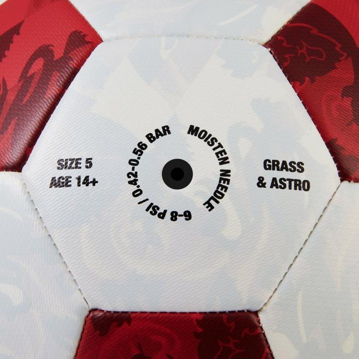 Immagine prodotto Mitre Pallone Allenamento (5)