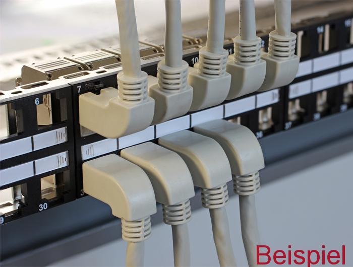 Actual product image Delock Network cable (S/FTP, CAT5e, 1 m)