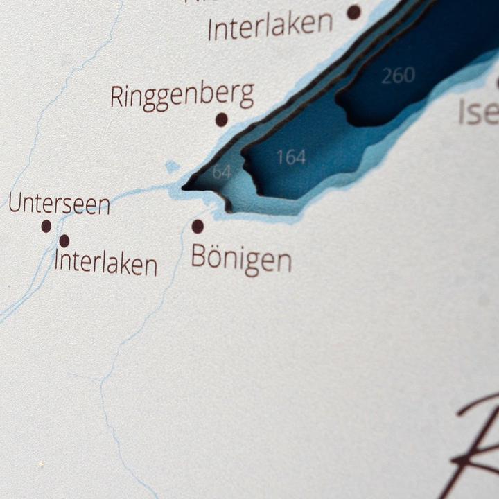 Produktbild Enjoy The Wood Thunersee / Brienzersee - Seekarte aus Holz