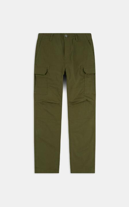 Actual product image Dickies Millerville cargo pants (M, L)