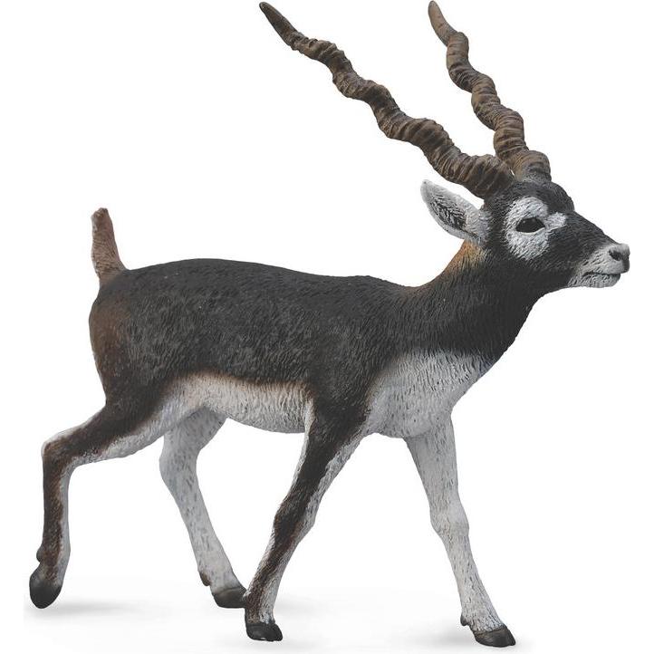 Collecta Blackbuck Antilope Figur (004-88638)