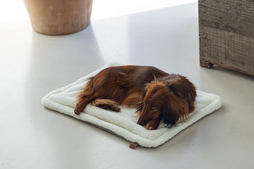 Productafbeelding Designed by Lotte Nalino (Hond)