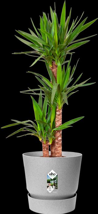 Immagine prodotto Elho Greenville Round (29.50 cm)