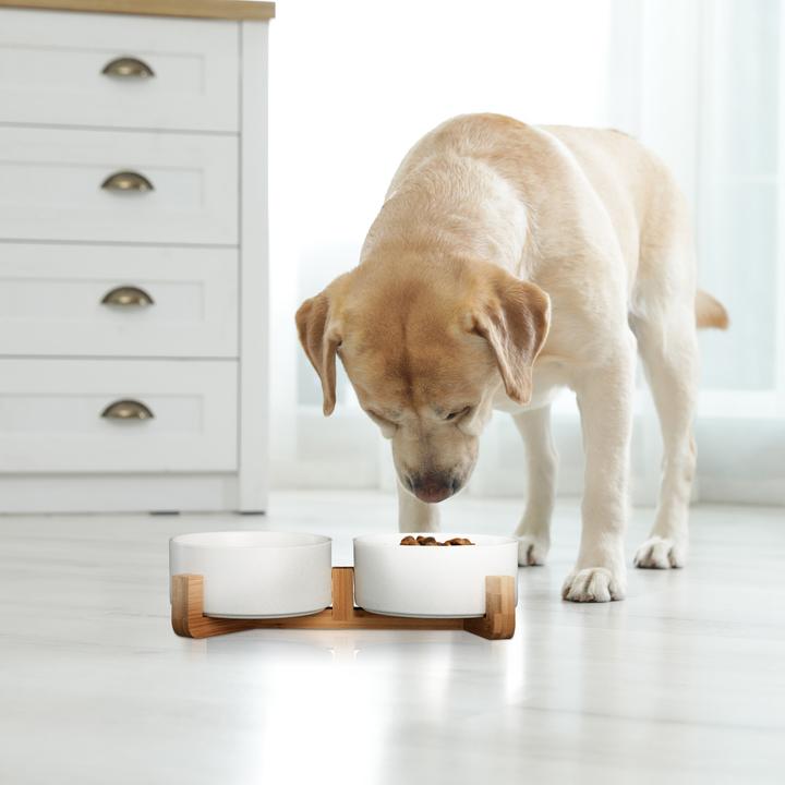 Produktbild Relaxdays Hundenapfbar (0.85 l)