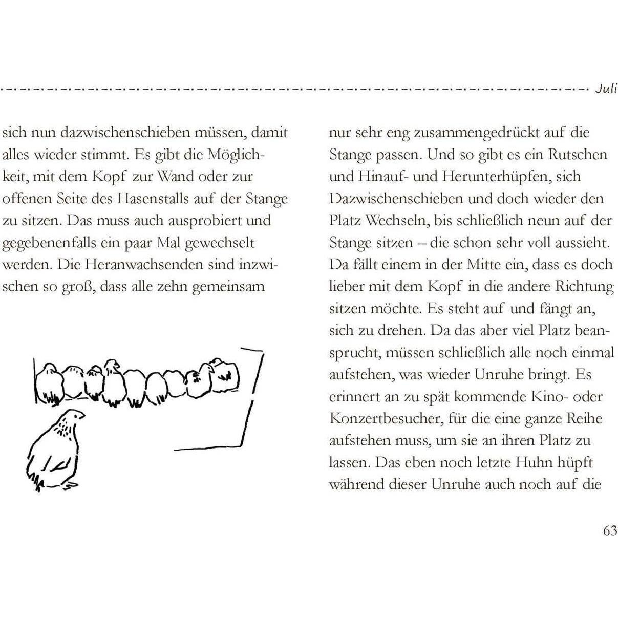 Thumbnail - Von grossen und kleinen Hühnern, Ratgeber von Silke Braemer