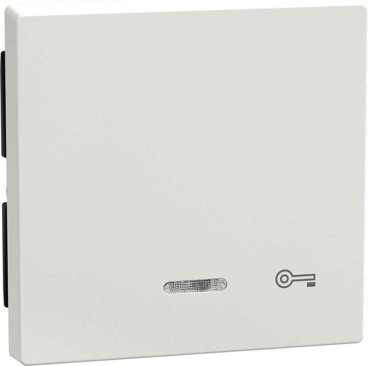 Actual product image Merten Control rocker switch System M polws 435319