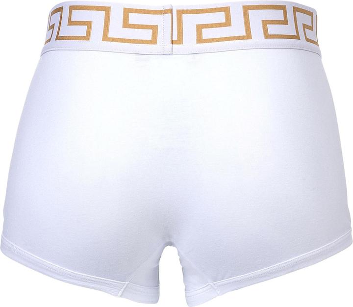 Image du produit Versace Underpants Tri-Pack Trunk Jersey Topeka Bi-Stretch Cotton Organic New Logo (L, Lot de 3)