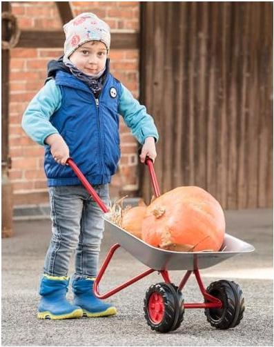 Produktbild Rolly Toys Schubkarre