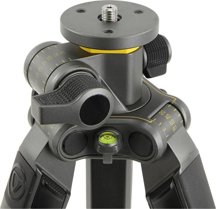 Image du produit Vanguard Alta Pro2+ 263AT (Métal)