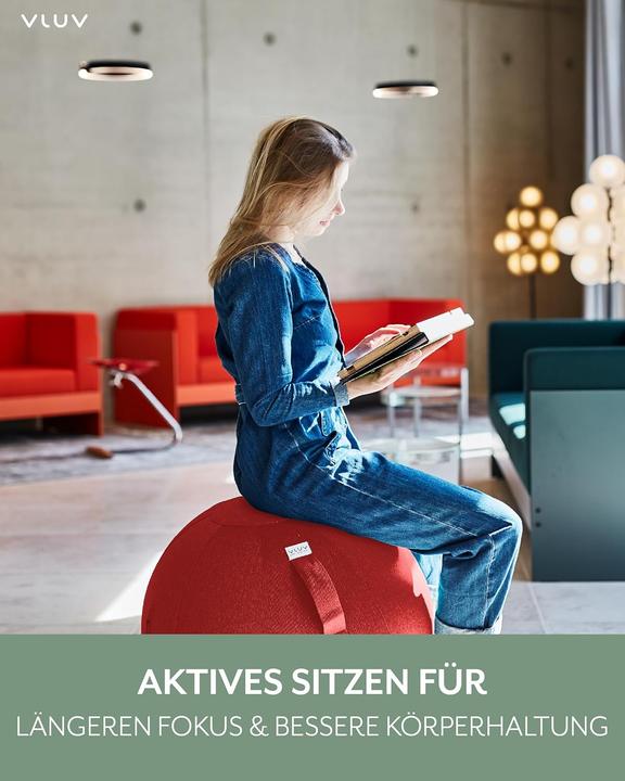 Immagine prodotto Vluv Ergonomischer Sitzball (75 cm)