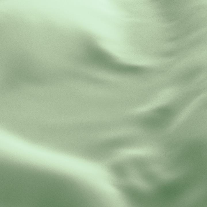Image du produit Lotus Bettwaren Satin uni (Taie d'oreiller, 50 x 70 cm)