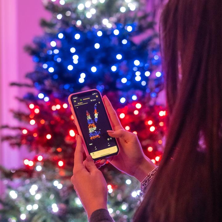 Immagine prodotto Twinkly Albero preilluminato (210 cm)