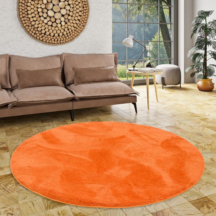 Immagine prodotto Pergamon Luxus Super Soft Hochflor Langflor Teppich Silky Rund (160 x 160 cm)
