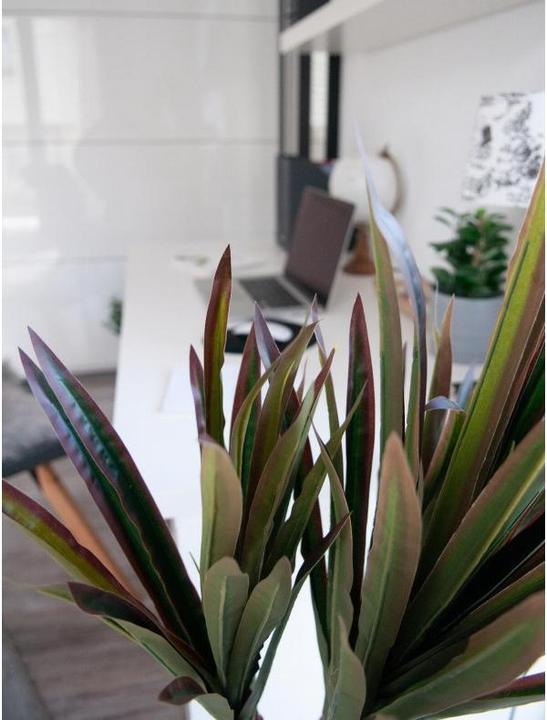 Immagine prodotto Europalms Dracena, artificiale, 120 cm (120 cm)