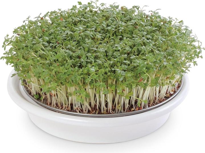 Image du produit Eschenfelder Tamis à cresson