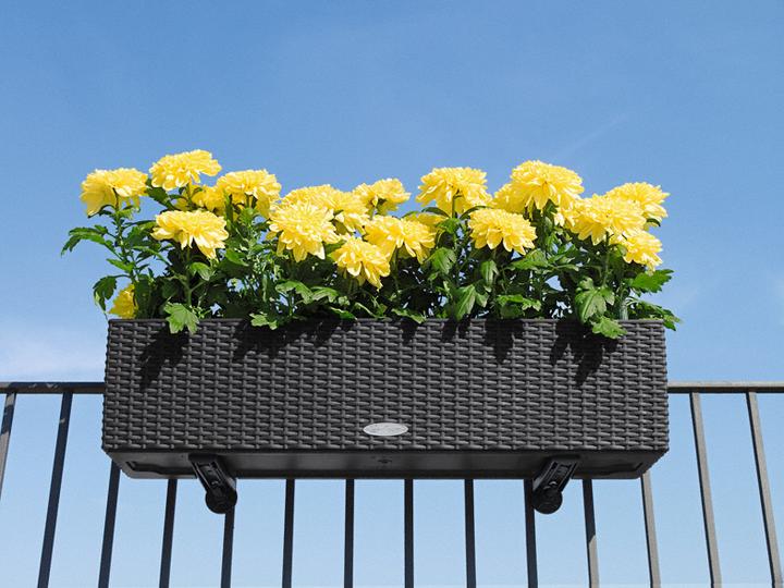 Actual product image Lechuza Balcony box holder for Balconera