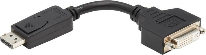 Image du produit Eaton Câble adaptateur DisplayPort vers DVI-I M/F 6inch 15.2cm (0.15 m)