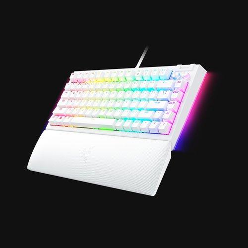 Image du produit Razer BlackWidow V4 75% (US, Filaire)