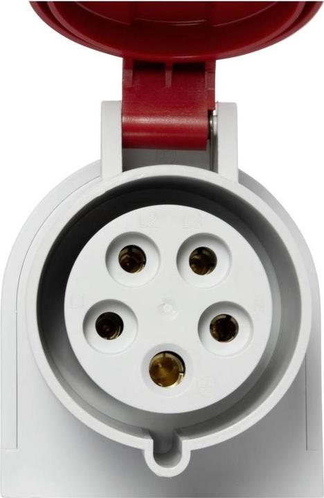 Produktbild Brennenstuhl CEE-Wandsteckdose 400V/32A 5-polig
