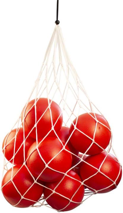 Actual product image Tanga Sports ® Ballnetz