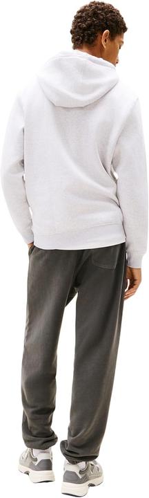 Productafbeelding Tommy Jeans Tjm Reg S Flag Hoodie (M)