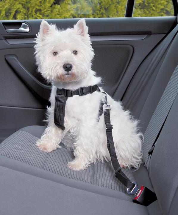 Immagine prodotto Trixie Cablaggio auto (M, Cane, Generale)