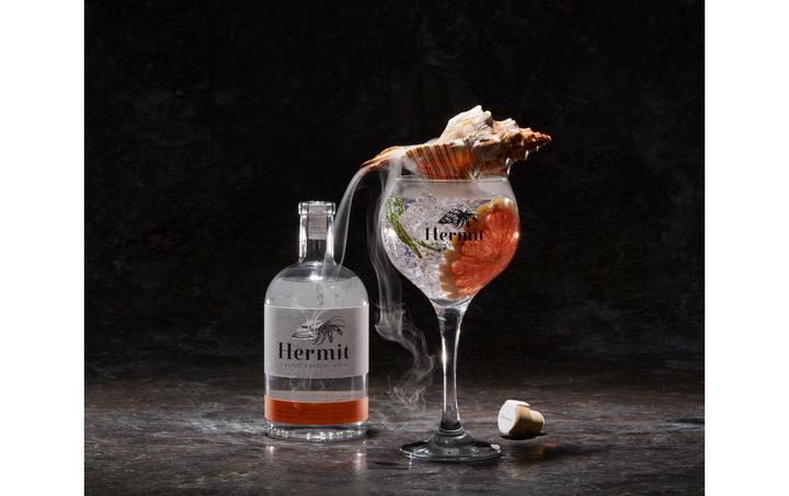 Actual product image Hermit Dutch Coastal Gin 0.5 l (1 x 50 cl)