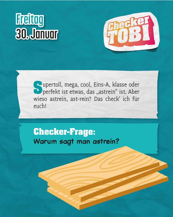 Produktbild Checker Tobi 2026: Tagesabreisskalender mit über 300 spannenden Checks zum Aufstellen oder Aufhängen (11 x 15 cm, Deutsch)