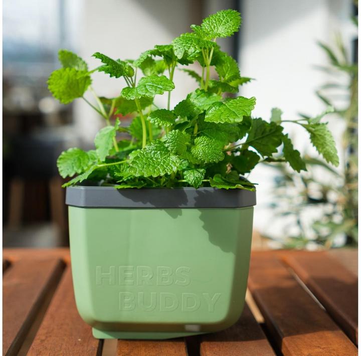 Actual product image Gusta Garden HERBS BUDDY Kräutertopf 3er Set Grün (49 x 15 x 14.50 cm)