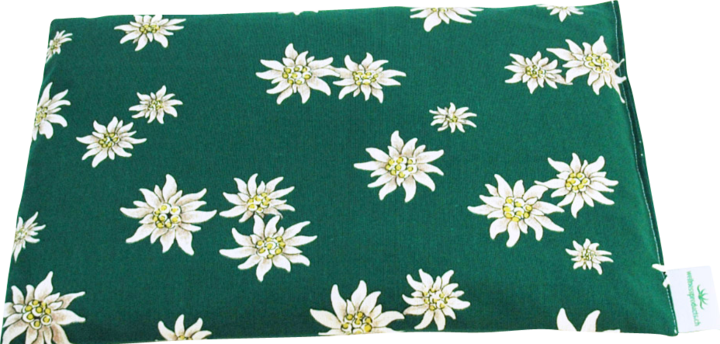 Image du produit Swiss Bio-Pads Coussin aux pépins de raisin (21 x 32 cm)