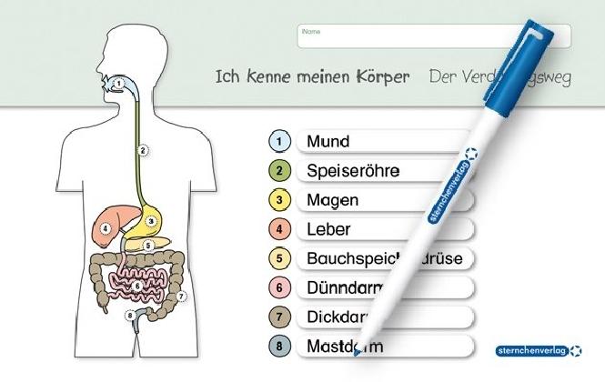 Produktbild Ich kenne meinen Körper - Der Verdauungsweg (Deutsch, Katrin Langhans, 2015)