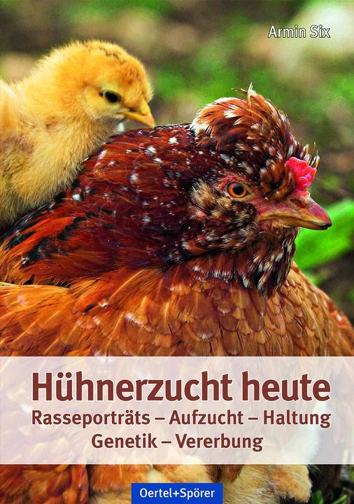 Produktbild Hühnerzucht heute (Deutsch, Armin Six, 2021)