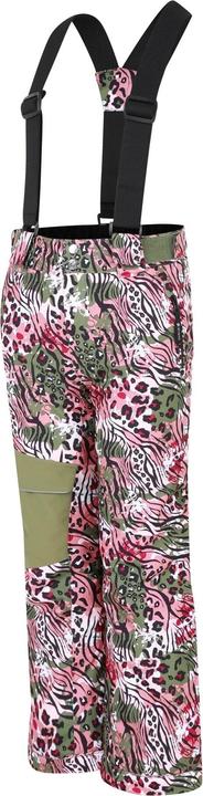 Actual product image Dare2b Childrens/Kids Pow Leopard Print Ski Trousers (128)