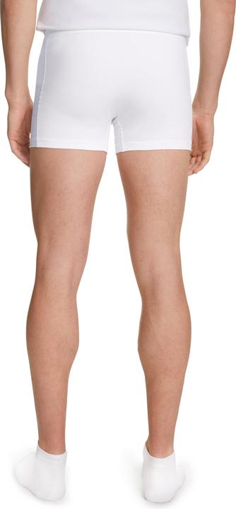 Immagine prodotto Falke UW Boxer-Briefs CO/EL m (L, Confezione da 2)