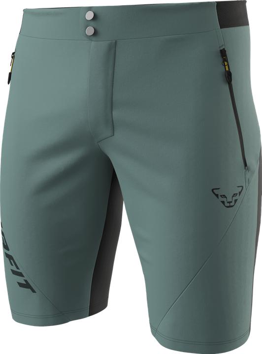 Immagine prodotto Dynafit Transalper Light Dynastretch Shorts Herren (L)