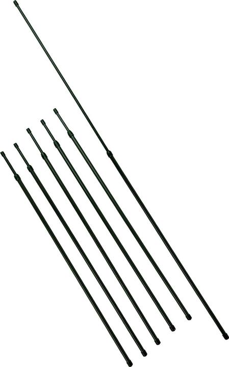 Actual product image Kinzo Expandierbare Pflanzenpfähle 6 Stk. (80 cm, 1 cm)