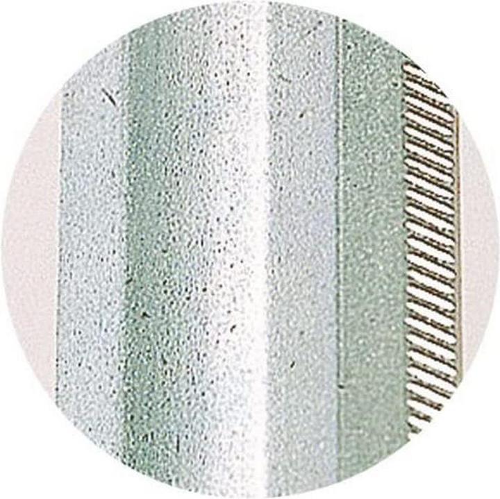 Actual product image wolfcraft wolfcraft 1 SZ - Schraubzwinge 120/300mm (300 mm)