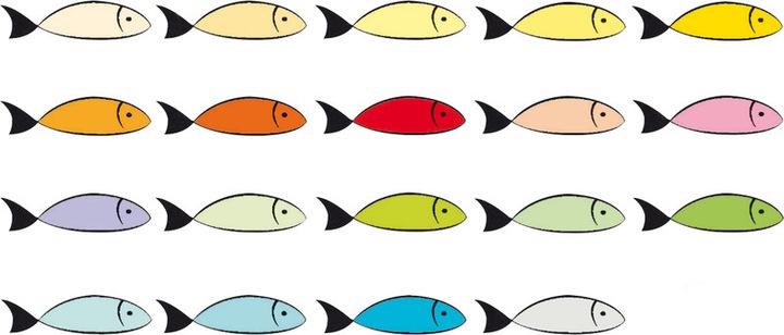 Actual product image Rainbow Copy paper colored A3 (80 g/m², 500 x, A3)