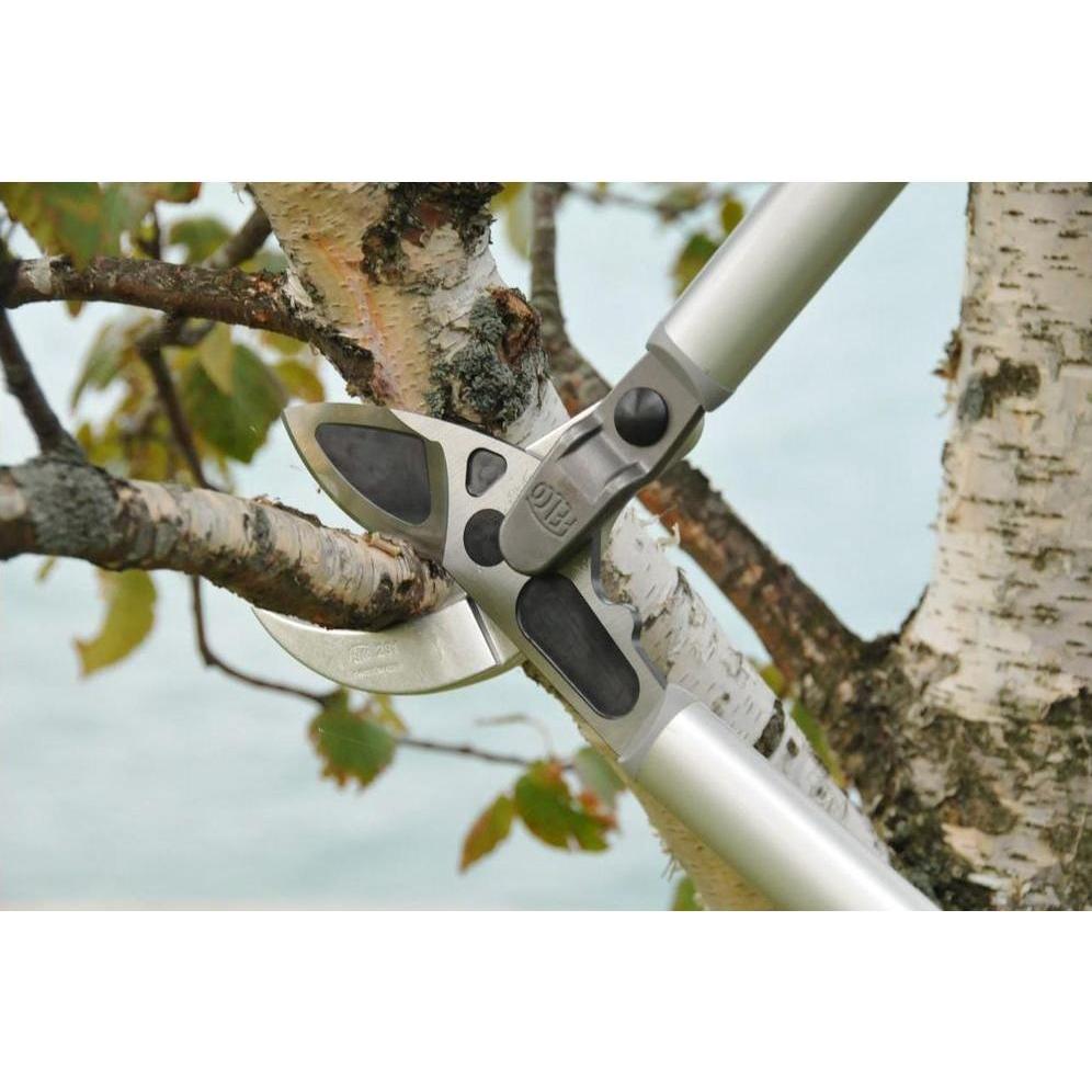 Thumbnail - Felco, Gartenschere, Zweihandscheren