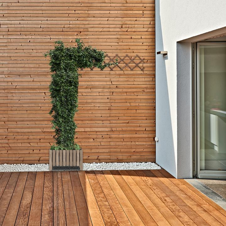 Immagine prodotto Relaxdays 3x Rankgitter (1.50 cm, 30 cm)