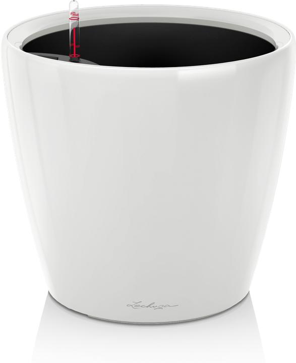 Blanc Brillant Brillant