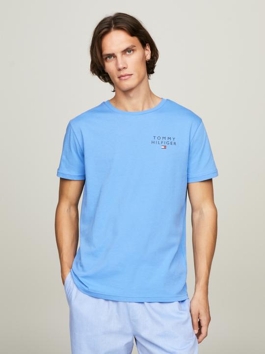 Actual product image Tommy Hilfiger Men's T-shirt CN Tee Logo (L)