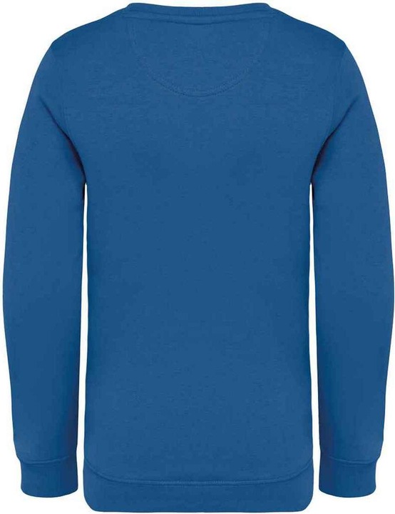 Actual product image Native Spirit Childrens/Kids Sweatshirt (122, 128, 125 B)