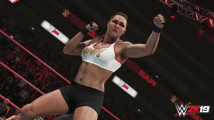 Produktbild 2K Games WWE 2K19 (Xbox One X, Xbox Series X, FR)